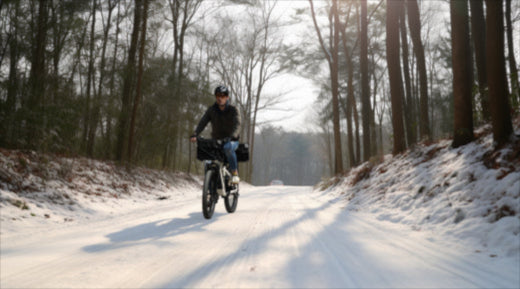 Discover the Power of Fat Tire Ebikes This Winter