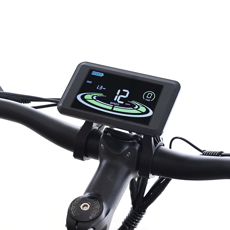 Bulldog Mountain E-Bike