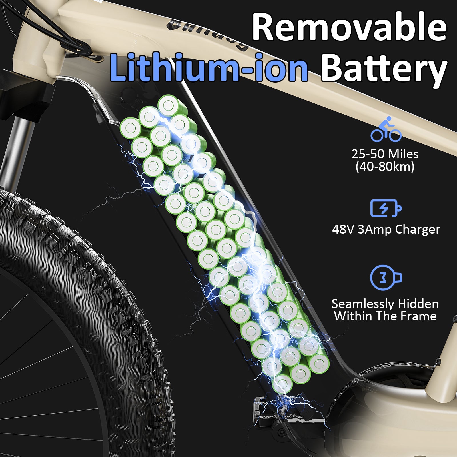 Totem Bulldog Electric Mountain Bike