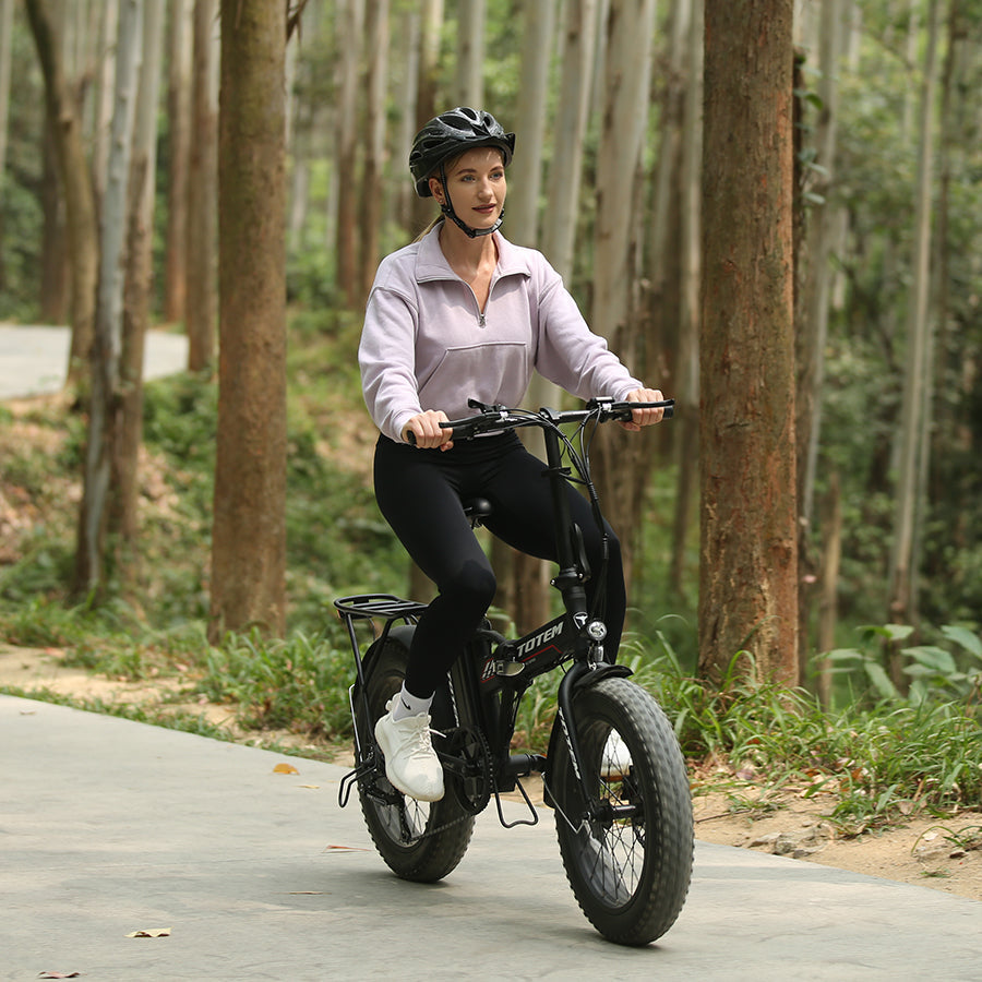 Hammer Folding E Bike