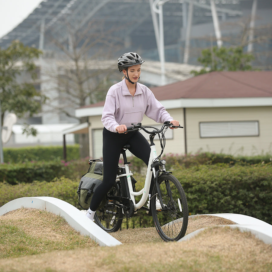Skyline Commuter E-Bike