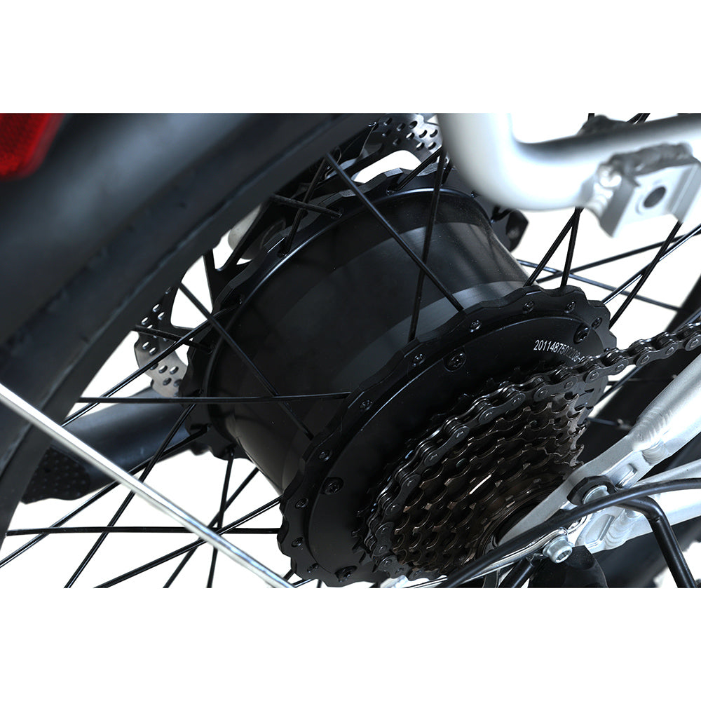 Hauler Fat Tire Utility E-Bike