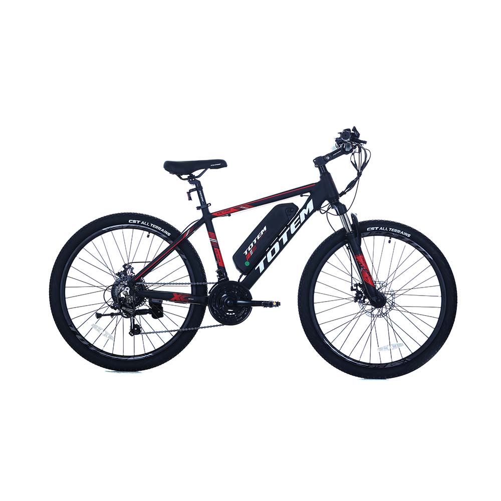 Totem Victor 2.0 All-terrain Electric Pedal Assist Bike for Adults