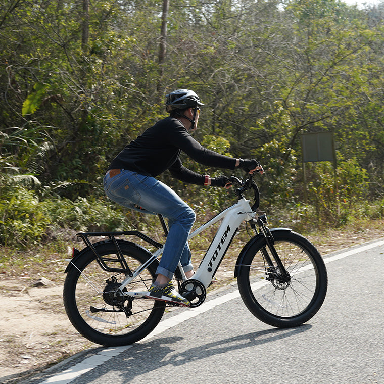 Ranger Fat Tire E-Bike