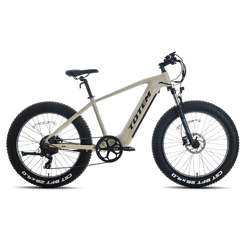 Totem Bulldog Electric Mountain Bike