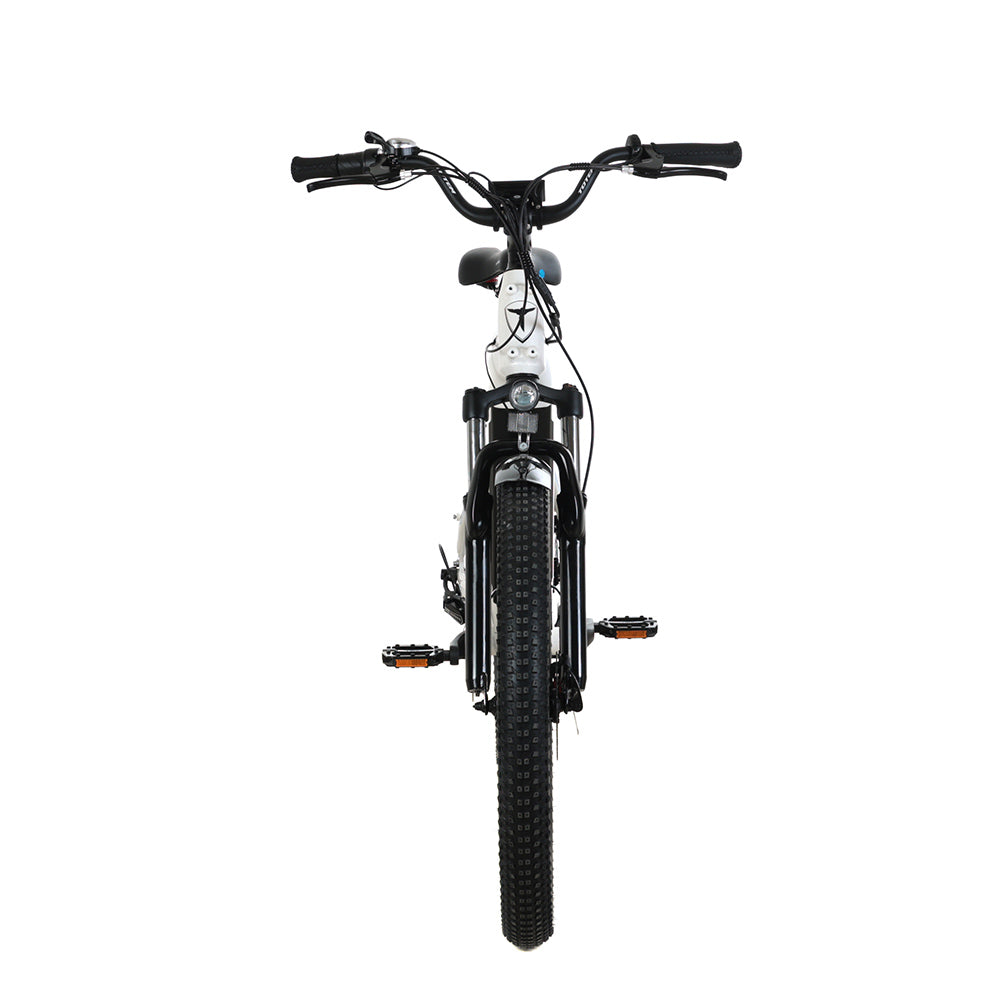 Ranger Fat Tire E-Bike