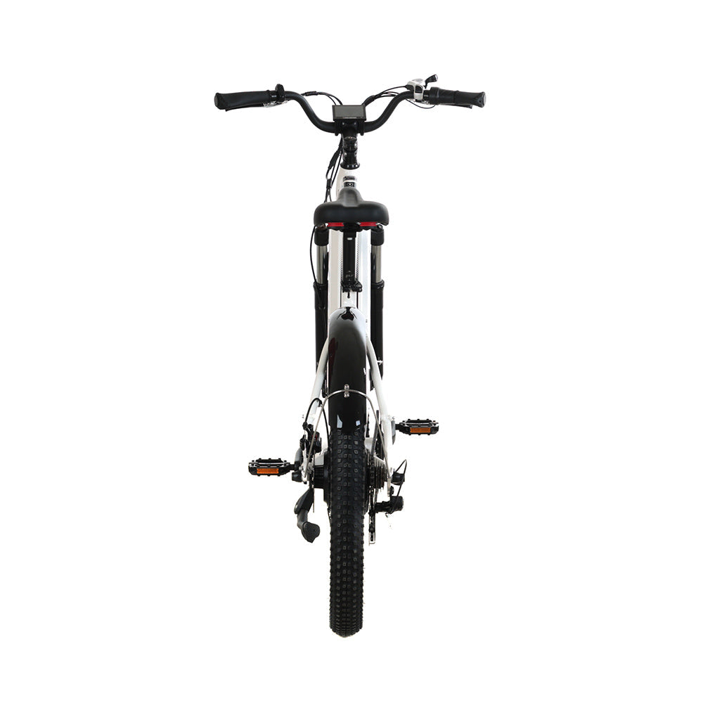 Ranger Fat Tire E-Bike