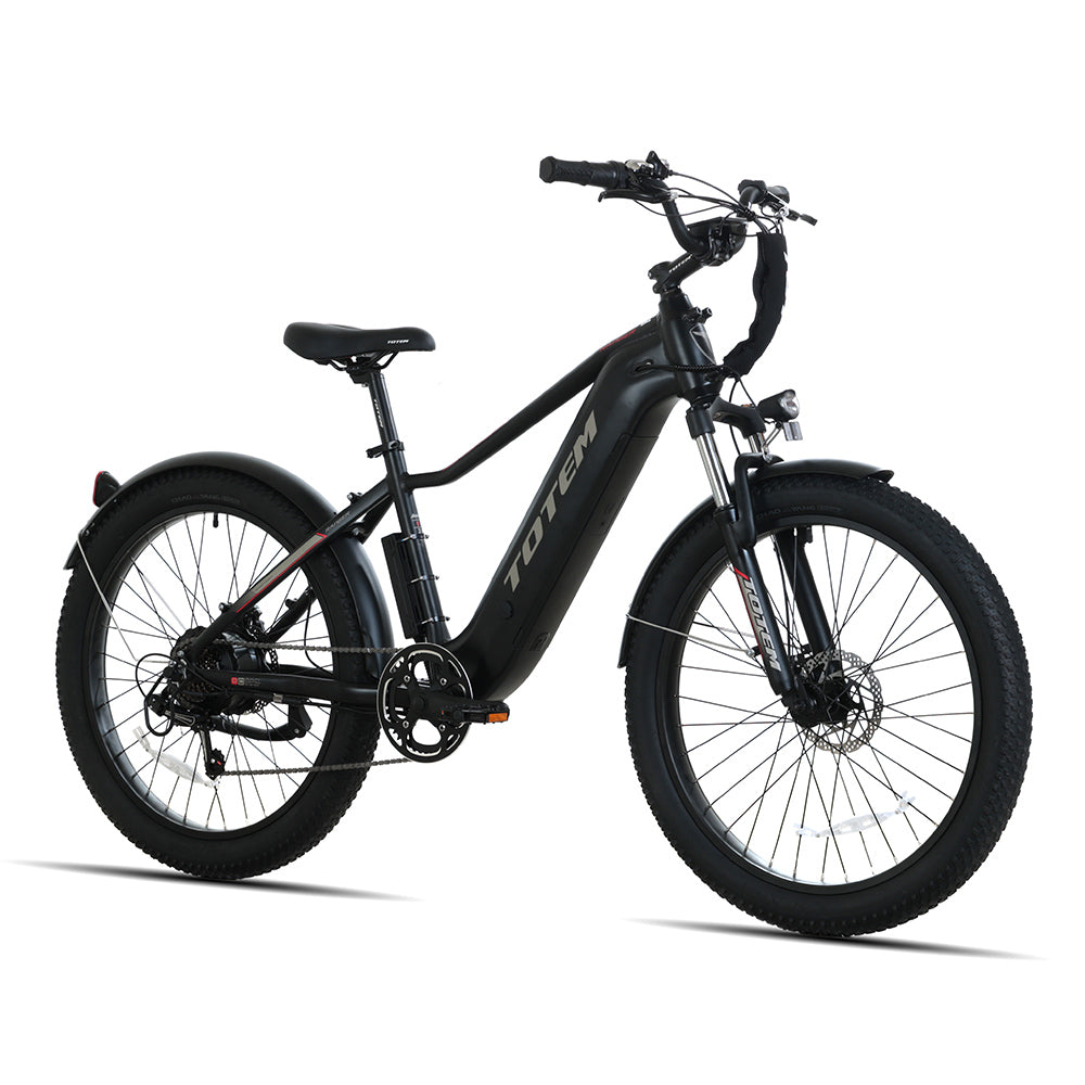 Ranger Fat Tire E-Bike