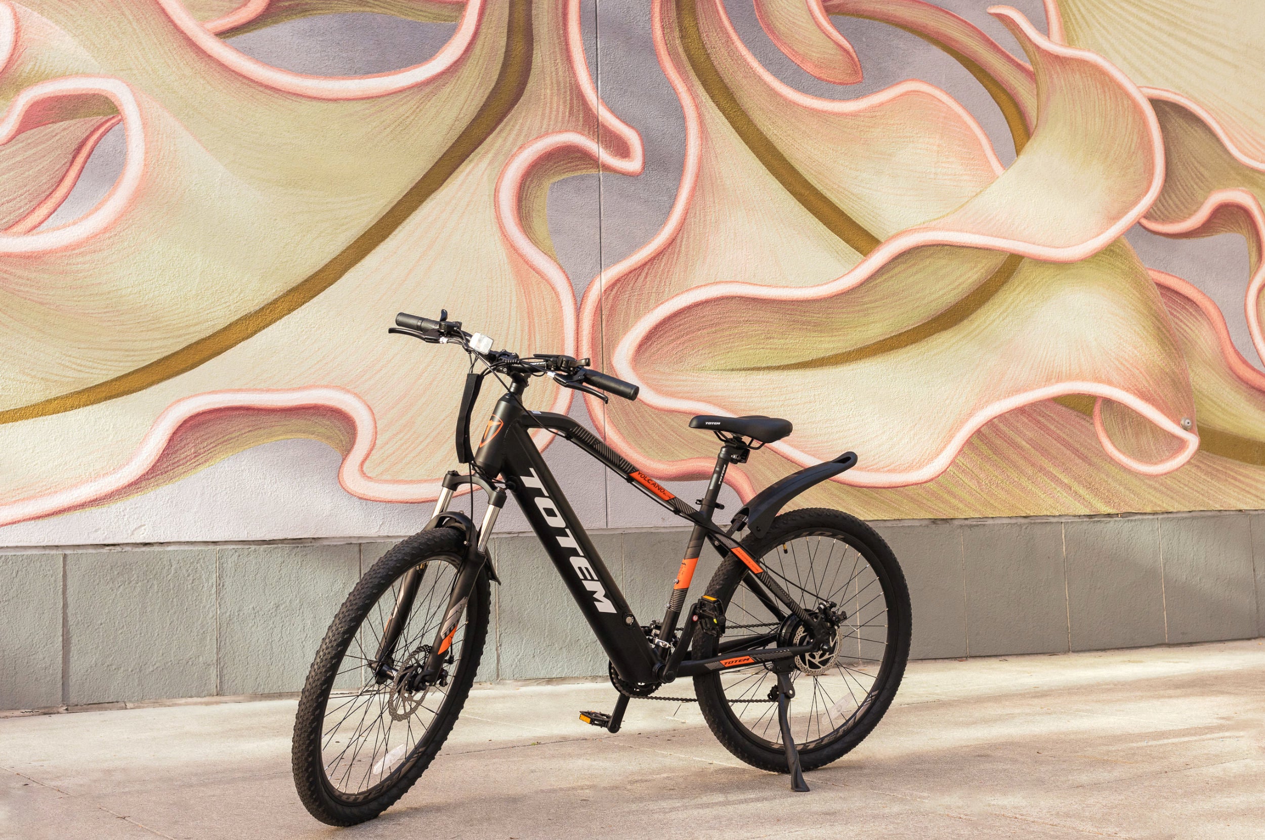 e totem mountainbike Totem Volcano Electric Mountain Bike