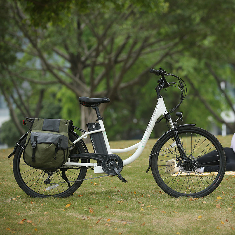 Skyline electric bike 2025