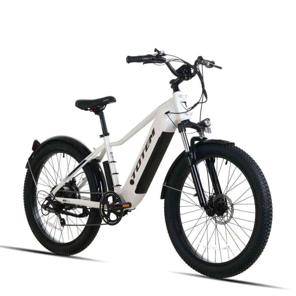 Ranger Fat Tire E-Bike